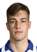 Luka Sucic avatar